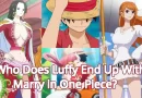 who does luffy end up with