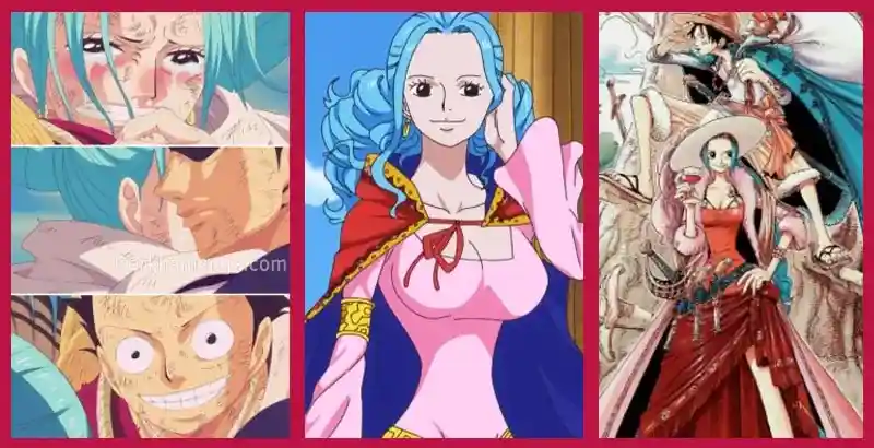 WHO DOES LUFFY END UP WITH 1 Luffy's Love Interest Revealed