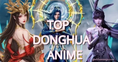 Donghua Anime